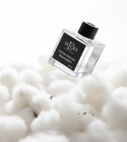 DOCKS Raumduft Diffuser mit Stäbchen – Verschiedene Düfte zur Wahl, 110ml